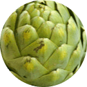 Alpha Tonic-Saw Palmetto